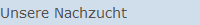 Unsere Nachzucht